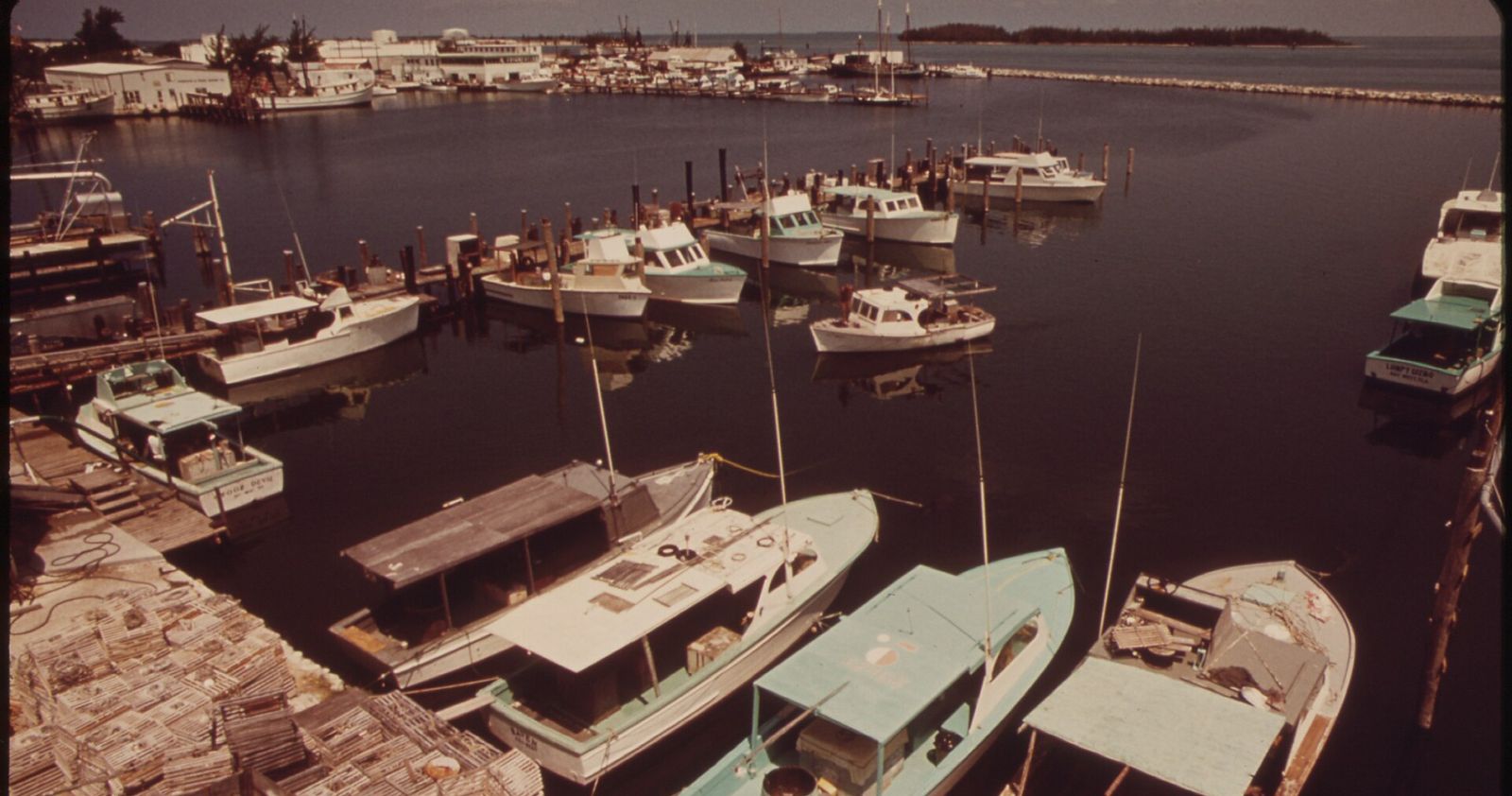 Palm Harbor, Florida