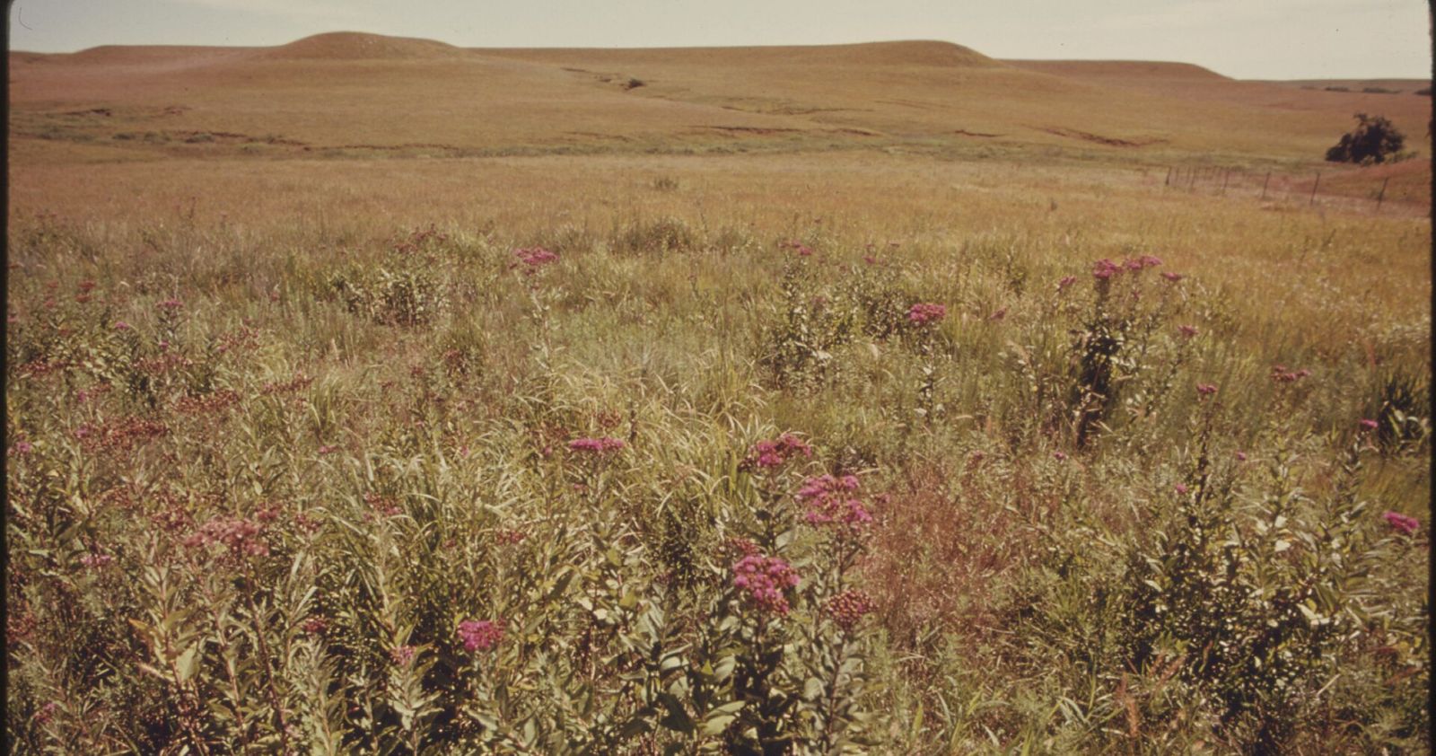 Kansas
