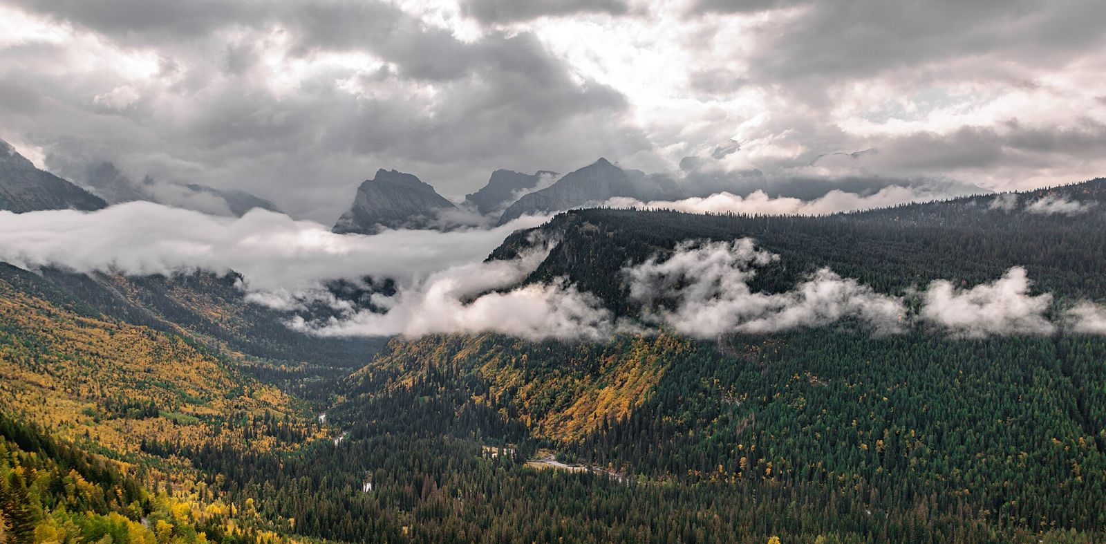 Montana
